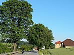 Zajíčkov